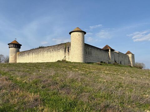 Domaine Historique d'Exception ,47 Hectares aux Portes de Libourne 3130000 33500 Libourne