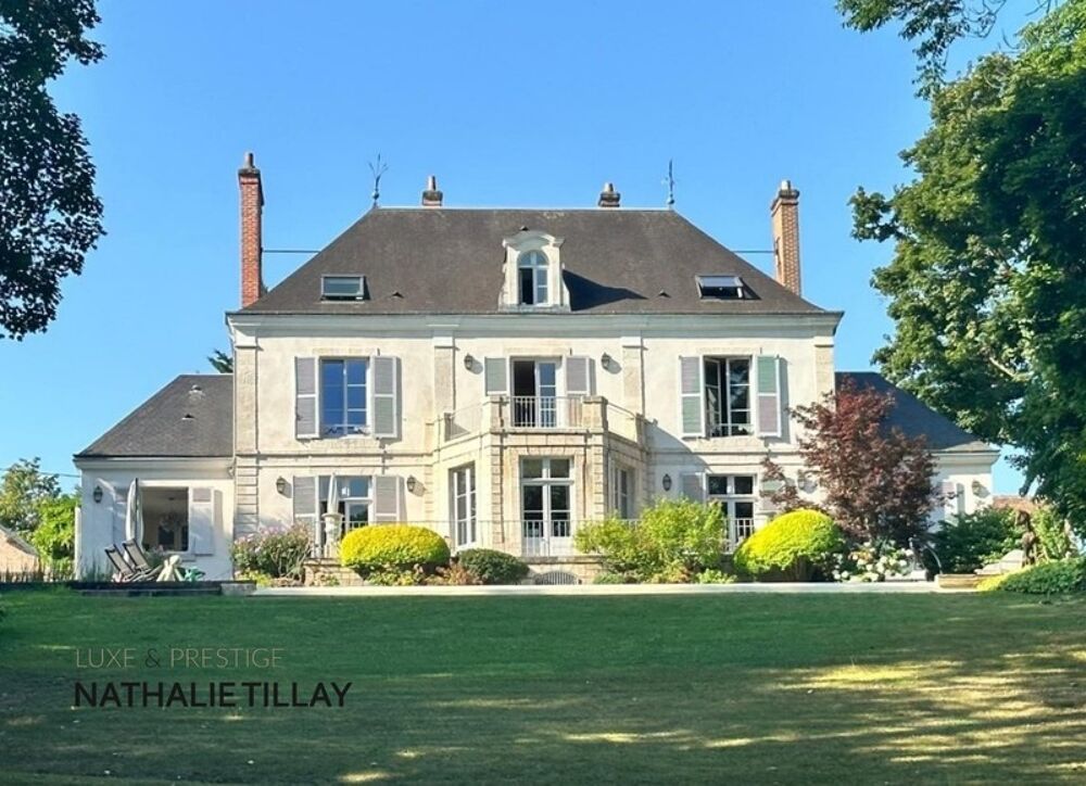 à vendre  Propriété/château Orléans (45000)