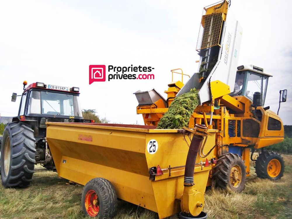  vendre  Maison Saint-Aignan (41110)