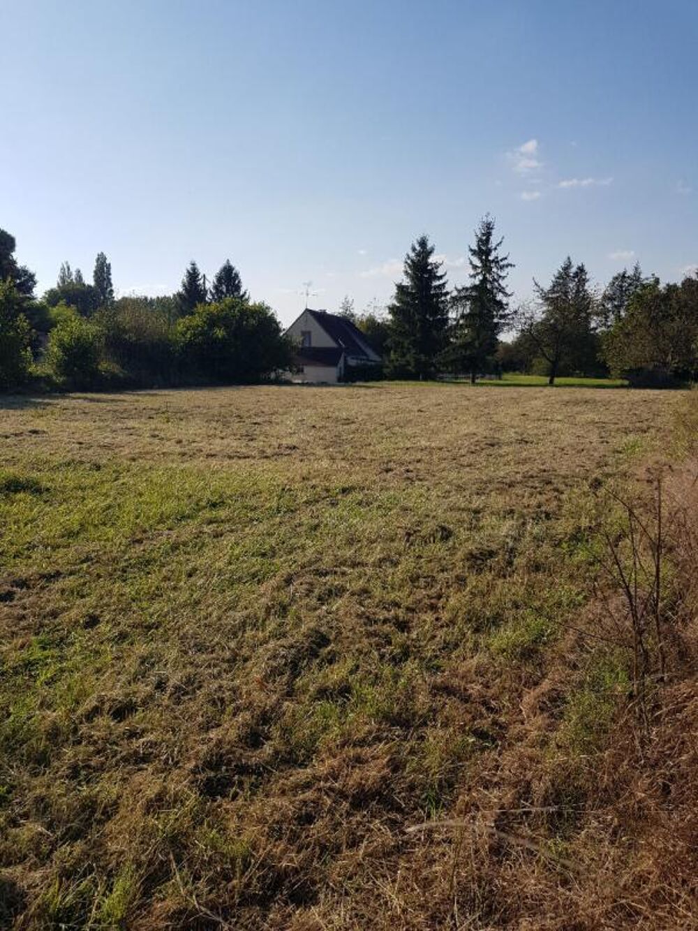 Vente Terrain Terrain La Cour Marigny 1 313  m2 La cour marigny