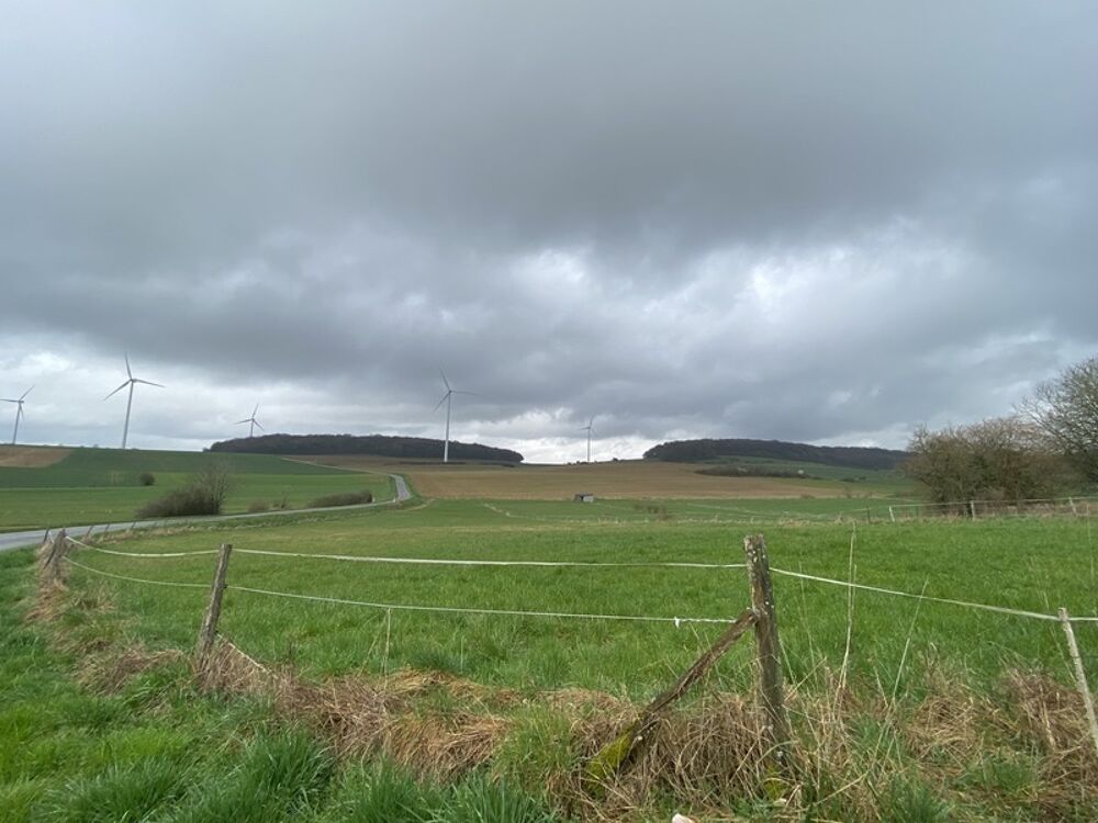 Propriété équestre avec maison, grange et prairies  Village calme proche frontières - Doncourt Les Longuyon (54)