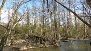  Terrain � vendre 2345 m�