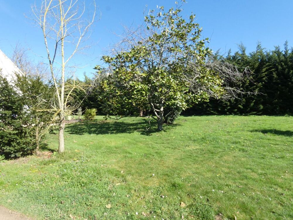 Vente Terrain BELLE OPPORTUNITE FONCIERE ! Terrain constructible de près de 3 000m2 Erquy