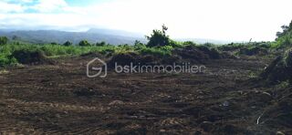  Terrain  vendre 251 m