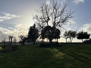  Maison � vendre 7 pi�ces 225 m�