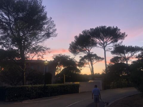  Appartement  louer 1 pice 28 m