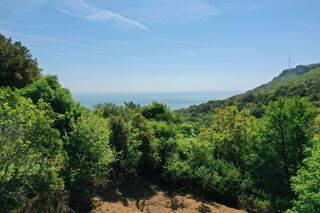  Terrain à vendre 1724 m²