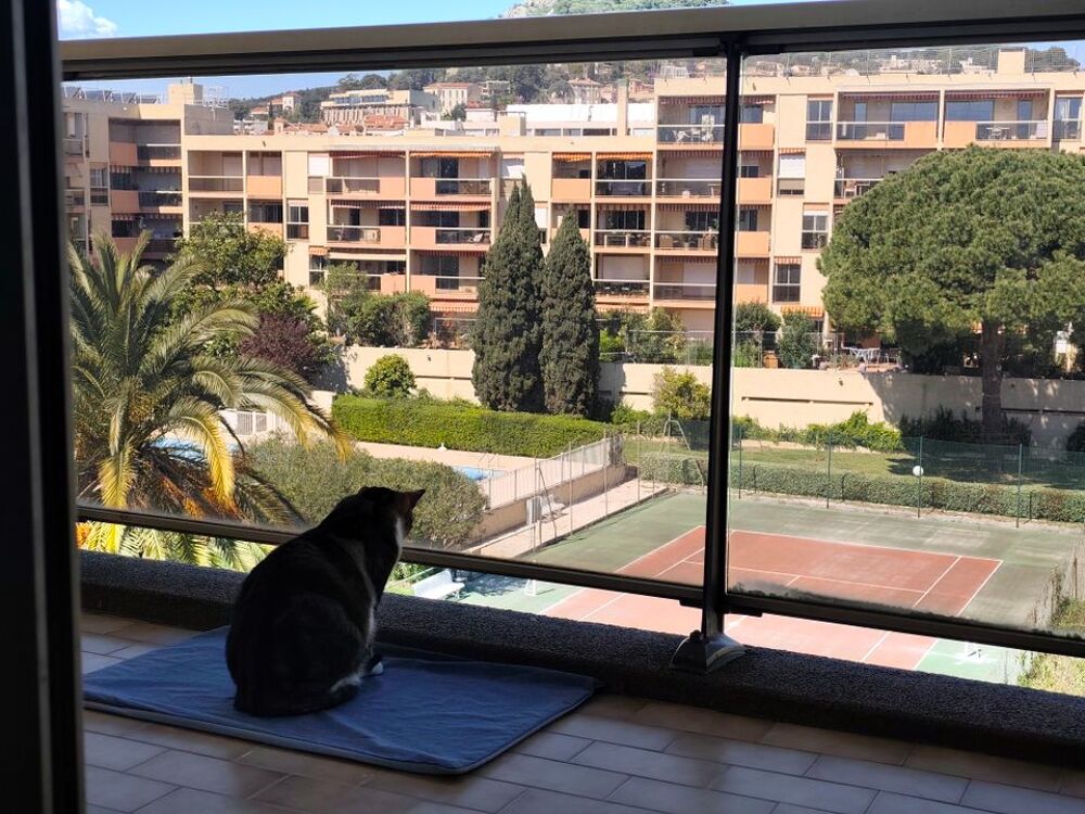 Location Appartement Appartement de 29m2 à louer sur Hyères Hyeres