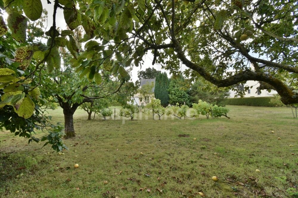Vente Maison Maison 3 chambres sur plus de 4900 m2 de jardin Ploezal