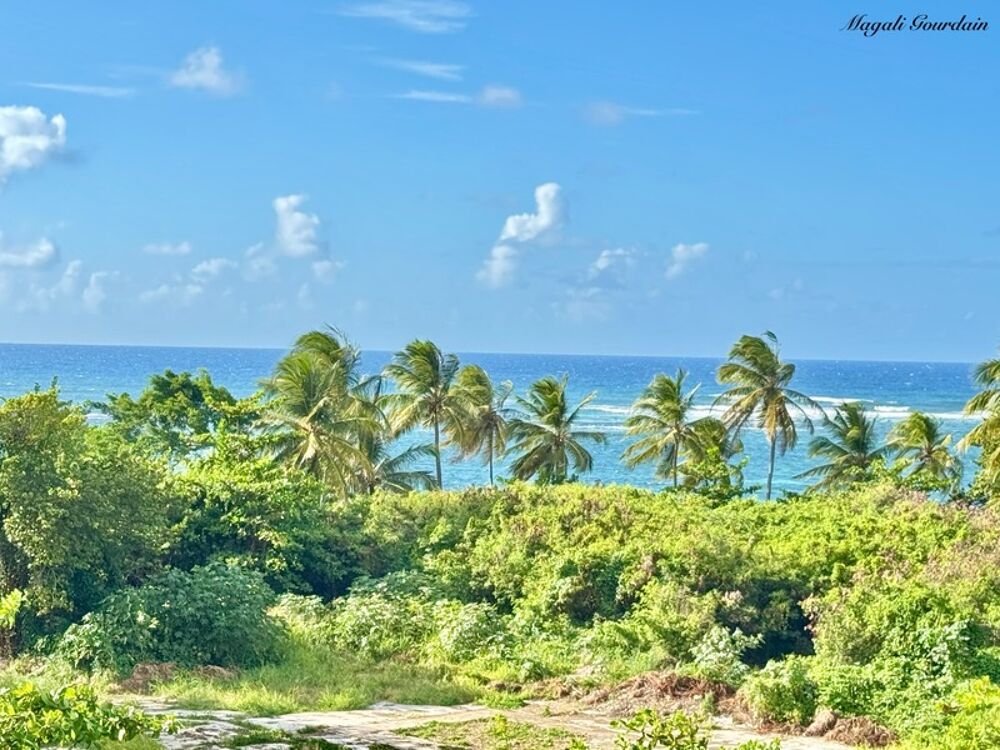 Vente Appartement A VENDRE - APPARTEMENT STUDIO AVEC VUE MER EXCEPTIONNELLE - LE MOULE Le moule