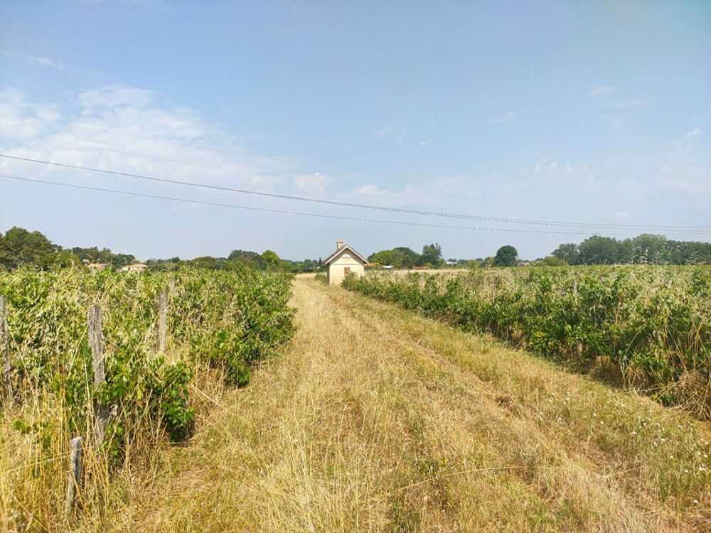Vente Terrain TERRAIN AGRICOLE 3.13 HECTARES Sainte eulalie