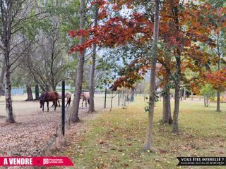  Maison � vendre 8 pi�ces 230 m�