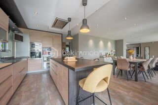  Villa à vendre 11 pièces 315 m²