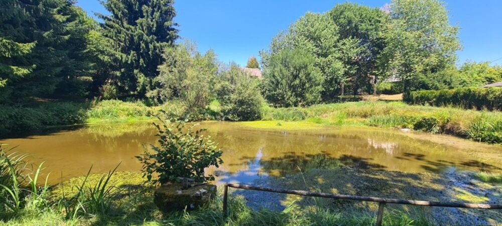Vente Maison Chaumière à vendre 5 pièces SAINT AMAND (23) Saint amand