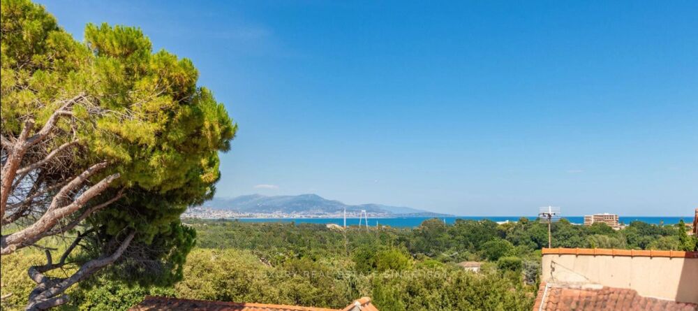 à vendre  Villa Antibes (06600)