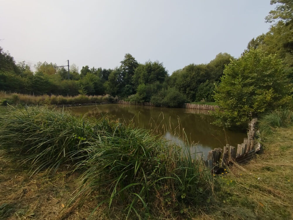 Vente Terrain  vendre  Terrain de loisir avec tang et cabanon  Montfort-le-Gesnois Montfort le gesnois
