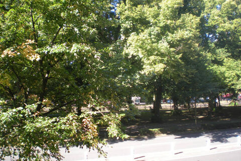  Appartement � louer 1 pi�ce 20 m�