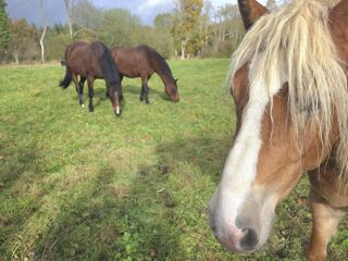  Maison � vendre 5 pi�ces 112 m�