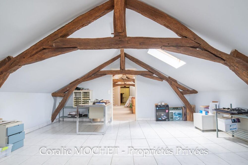 � vendre  Propri�t�/ch�teau Les Sorini�res (44840)