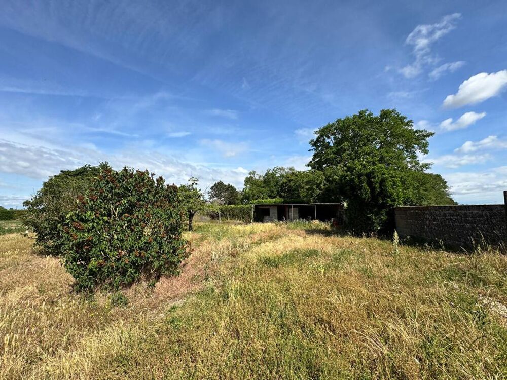 Vente Maison Maison Chavannes 3 pièce(s) 67 m2 Chavannes