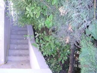  Appartement � louer 1 pi�ce 15 m�