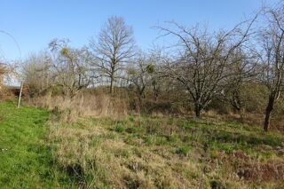  Terrain � vendre 1341 m�