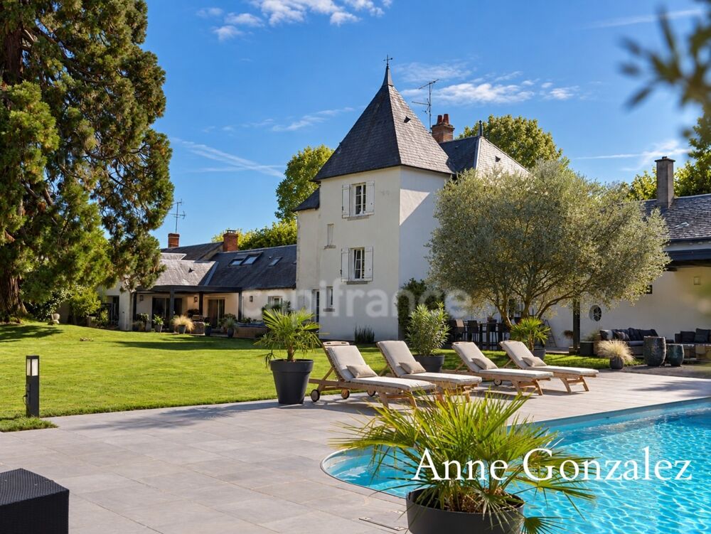 à vendre  Propriété/château Orléans (45000)