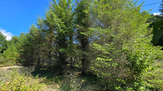  Terrain  vendre 1068 m