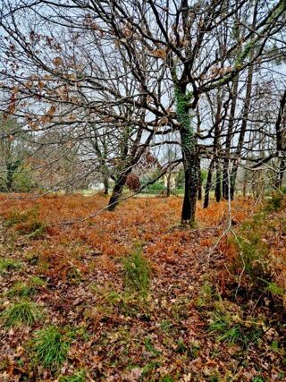  Terrain à vendre 2050 m²