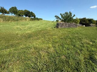  Ferme � vendre 8 pi�ces 245 m�