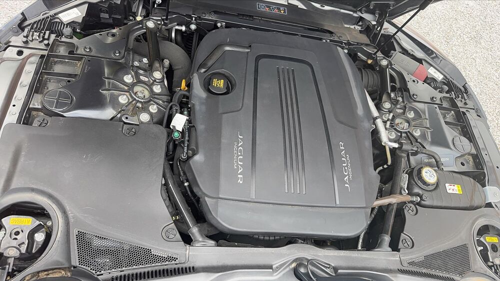 F-Type Roadster 2.0 Turbo 300 BVA Chequered-Flag - Automatique Entr 2019 occasion 64500 Saint Jean De Luz