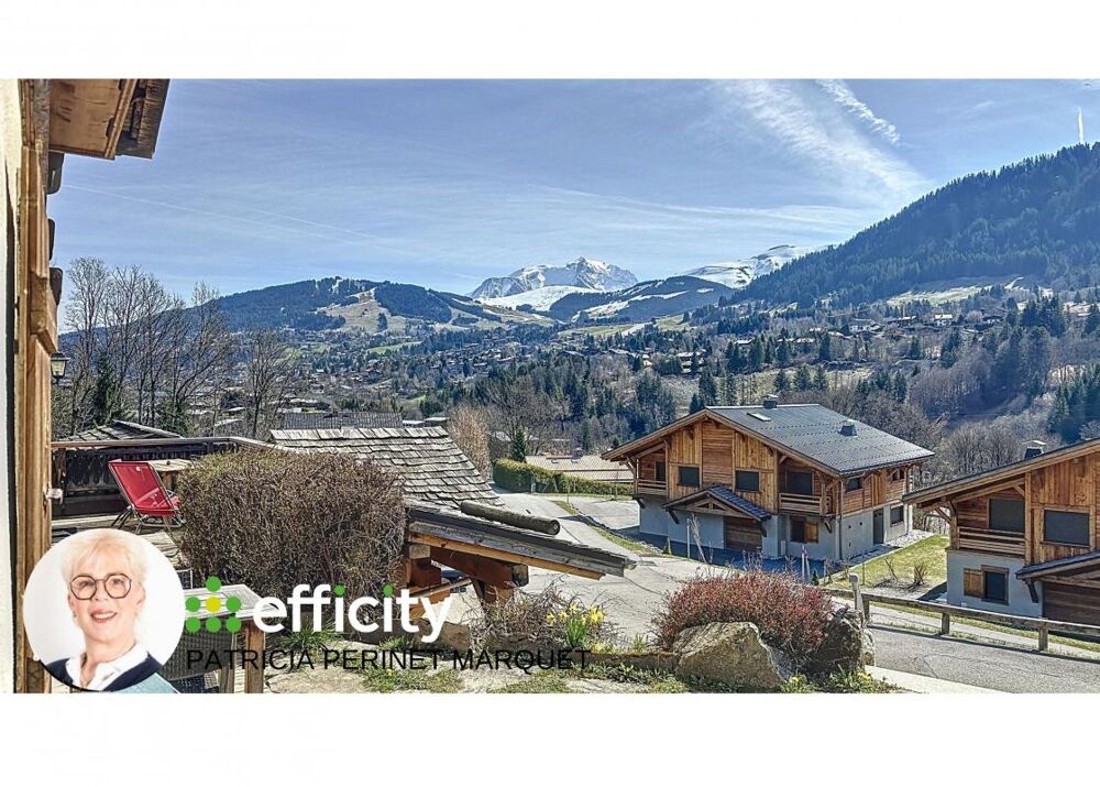  vendre  Chalet Megve (74120)