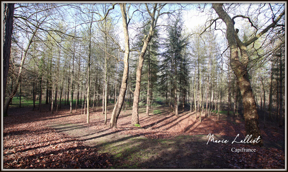 Maison à vendre 12 pièces, Grand séjour, 6 chambres, Terrain de Tennis, Bois, Cours d'eau