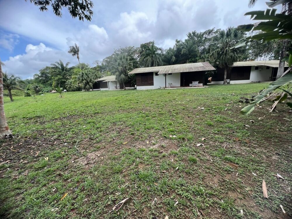 Vente Propriété/Château Gite de 12 bungallows plus foncier d'environ 2 ha à vendre Matoury