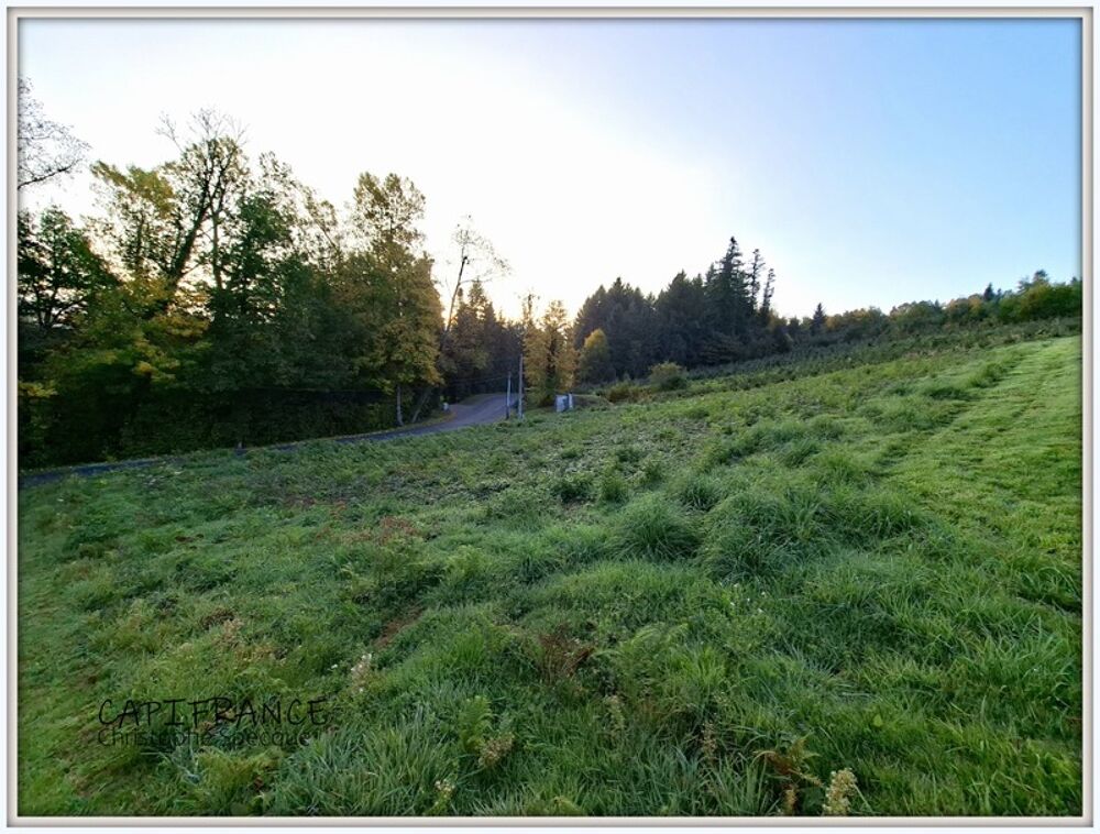Vente Terrain Terrain à vendre  CELLES SUR DUROLLE (63) Celles sur durolle