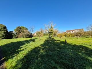  Terrain à vendre 2800 m²