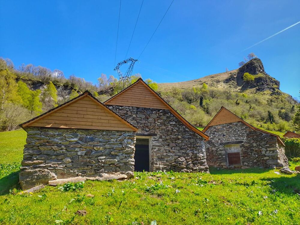 Vente Remise/Grange Deux granges à rénover dans les montagnes Ossaloises Eaux bonnes