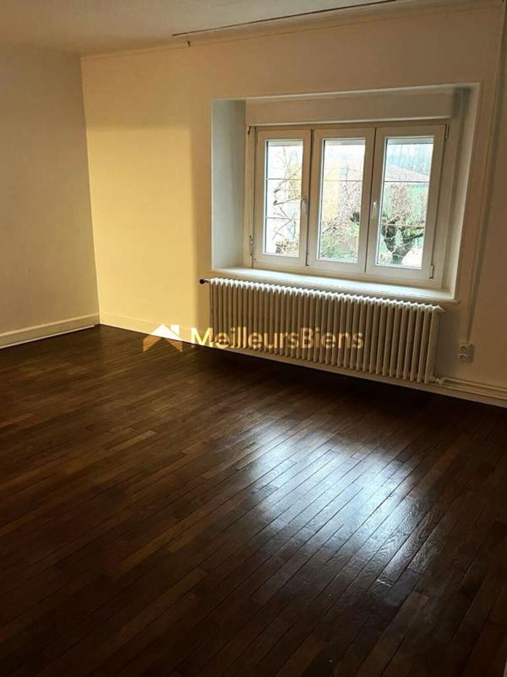 Vente Maison Immeuble de rapport avec revenus locatifs immédiats Bourbonne les bains