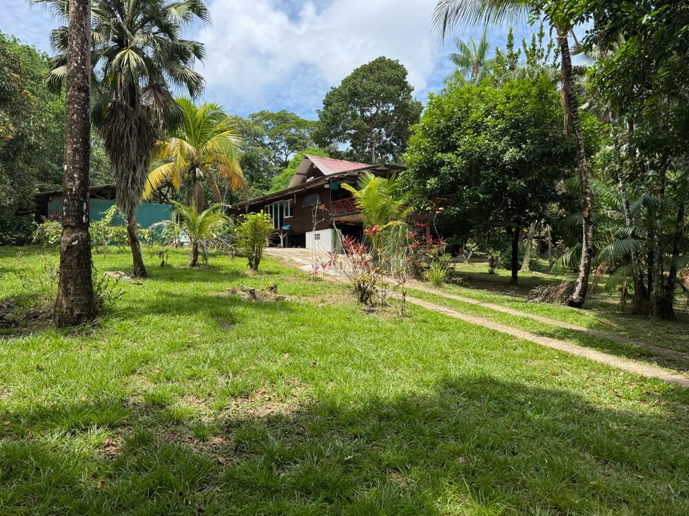 Vente Maison Magnifique propriété T5 avec piscine pont des cascades Montsinery Montsinery tonnegrande