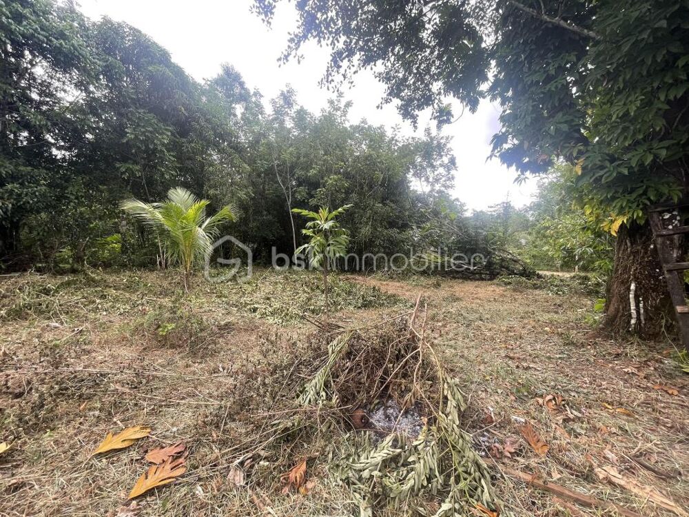 Vente Terrain MATOURY 97351  – LA CHAUMIÈRE – TERRAIN À BÂTIR DE 2 033 m² – ZONE CONSTRUCTIBLE – 9 KM DE CAYENNE – POSSIBILITÉ D'ACHAT EN INDI Matoury