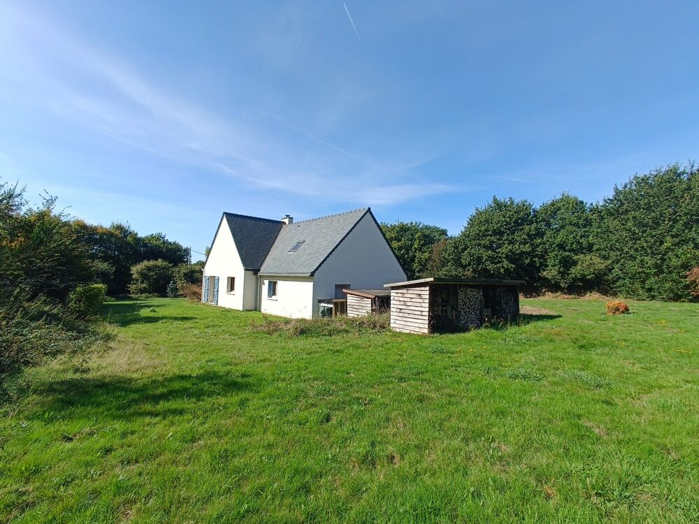 Vente Maison Grande maison à vendre 8 pièces (6 chambres) Berrien Berrien