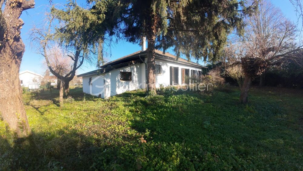À Vendre : Maison de Plain-Pied avec Terrain Arboré de 1600 m² à Brézins (38)