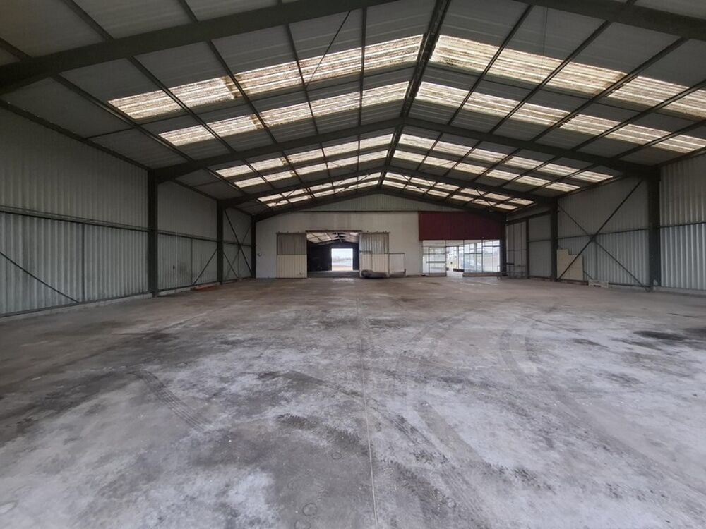   Entrepôt/Local d'activité/bureau - VARENNES SUR ALLIER (03150) - 395 000 euros Varennes sur allier