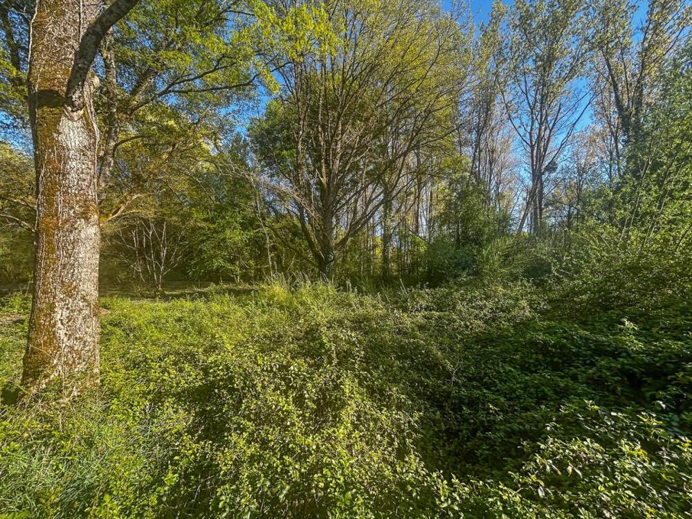 Vente Terrain Terrain Villefranche Sur Cher 6804 m2 Villefranche sur cher