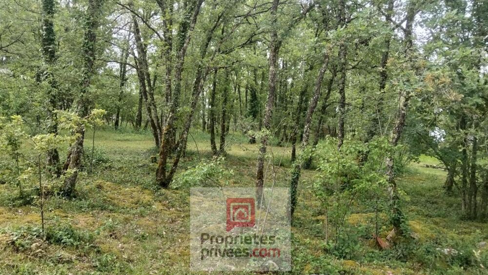 Vente Maison Maison d'architecte bioclimatique .7 pièces .Terrain de 3 092 m² Gignac
