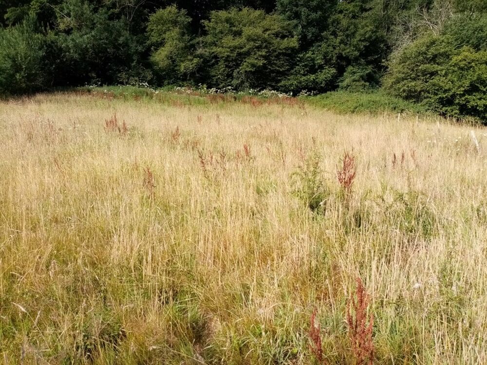 Vente Terrain Dpt Seine Maritime (76), à vendre HERICOURT EN CAUX terrain Hericourt en caux