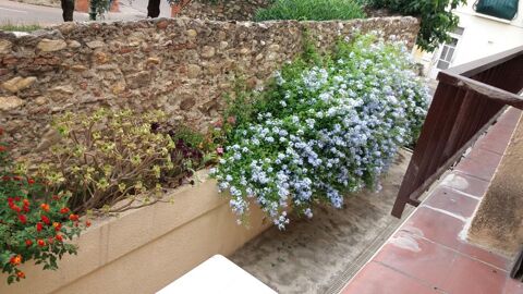  Appartement � louer 2 pi�ces 37 m�