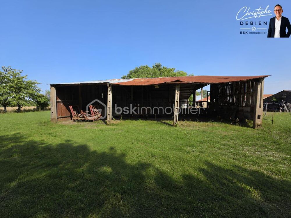 HANGAR DE 350 m²  TERRAIN DE 2 973 m²  ZONE AGRICOLE  FORT POTENTIEL