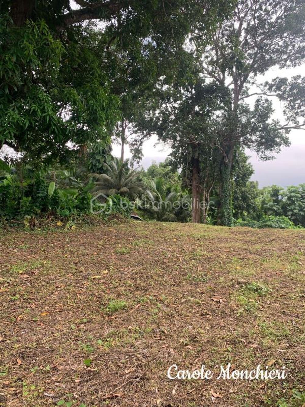Vente Terrain TERRAIN CONSTRUCTIBLE Capesterre belle eau