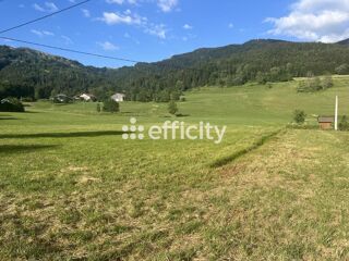  Terrain à vendre 3920 m²